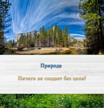 Уважаемые покупатели! Все наши пиломатериалы изготовлены из деревьев, произрастающих в экологически чистых районах России. 